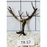 Spiderwood 57