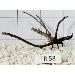 Spiderwood 58