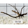 Spiderwood 58