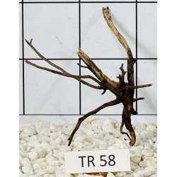 Spiderwood 58