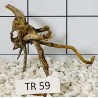 Spiderwood 59