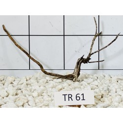 Spiderwood 61