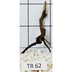 Spiderwood 62
