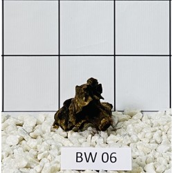 Bogwood 06
