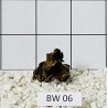 Bogwood 06