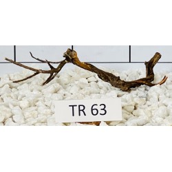 Spiderwood 63