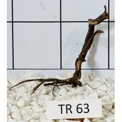 Spiderwood 63
