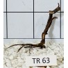 Spiderwood 63