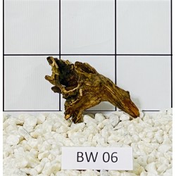 Bogwood 06