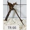 Spiderwood 66