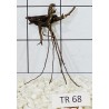 Spiderwood 68