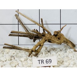 Spiderwood 69