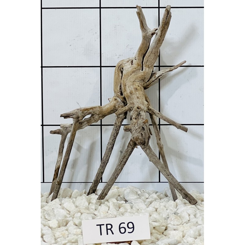 Spiderwood 69