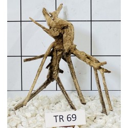 Spiderwood 69