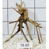 Spiderwood 69