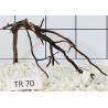 Spiderwood 70