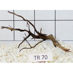 Spiderwood 70