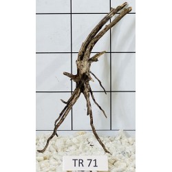 Spiderwood 71