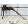 Spiderwood 72