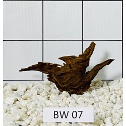 Bogwood 07