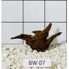 Bogwood 07