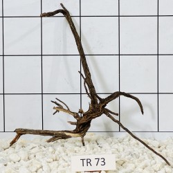Spiderwood 73