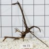 Spiderwood 73