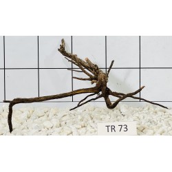 Spiderwood 73