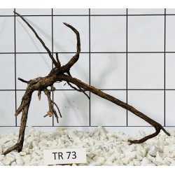 Spiderwood 73