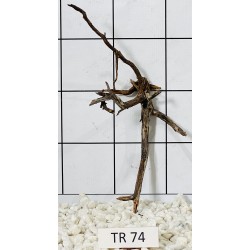Spiderwood 74