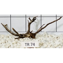 Spiderwood 74