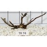 Spiderwood 74