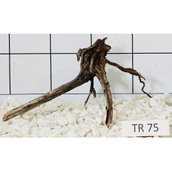 Spiderwood 75