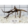 Spiderwood 77
