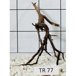 Spiderwood 77