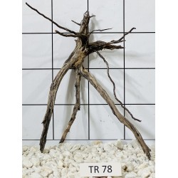 Spiderwood 78