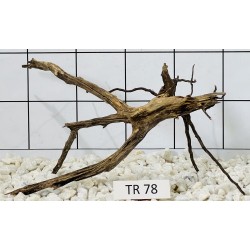 Spiderwood 78