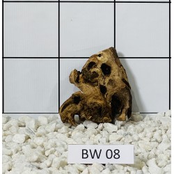 Bogwood 08