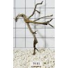 Spiderwood 81