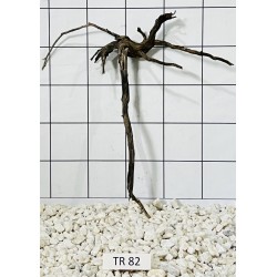 Spiderwood 82
