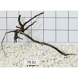 Spiderwood 82