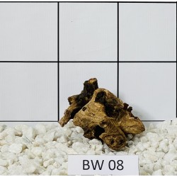 Bogwood 08
