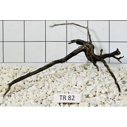 Spiderwood 82