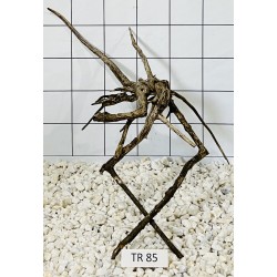 Spiderwood 85