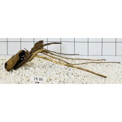 Spiderwood 86