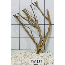 Talawawood 137