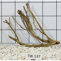 Talawawood 137