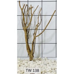 Talawawood 138