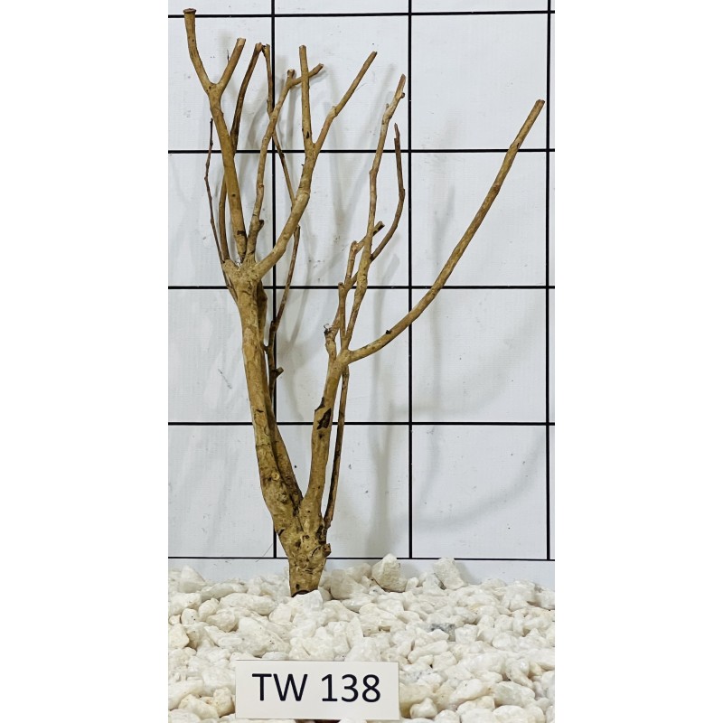 Talawawood 138