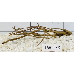 Talawawood 138